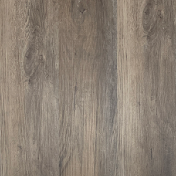 LVT+-+558